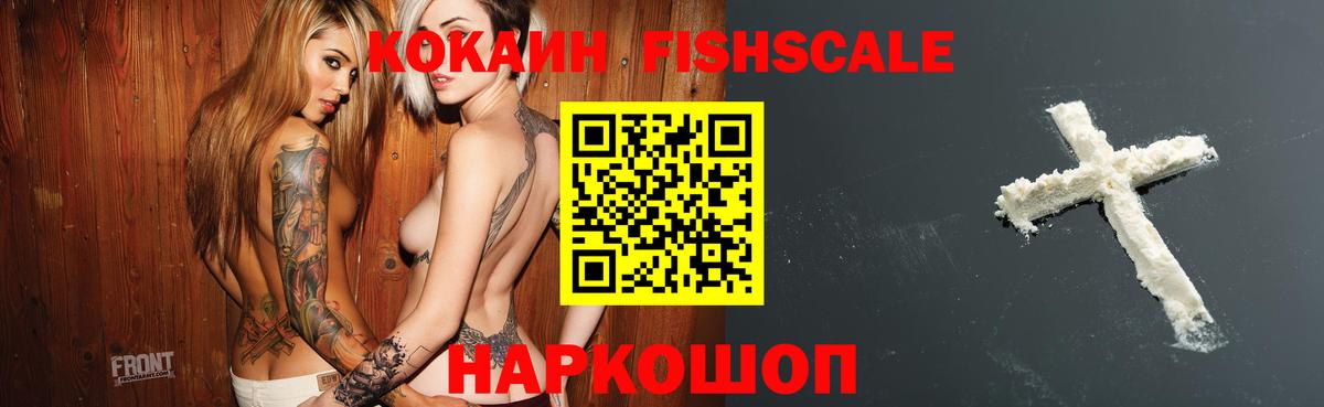 Cocaine Fish Scale  Вход с VPN  Кузнецк 