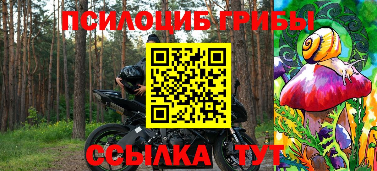 Псилоцибиновые грибы мицелий  Вход с VPN  наркошоп  Кузнецк 