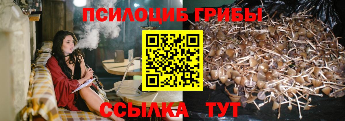 ГАШ Кузнецк