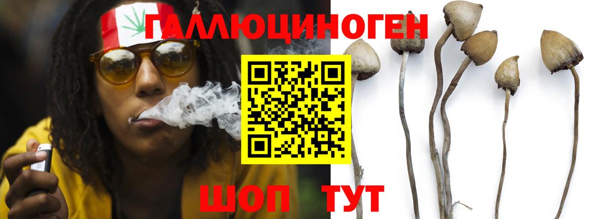 Галлюциногенные грибы MAGIC MUSHROOMS Кузнецк